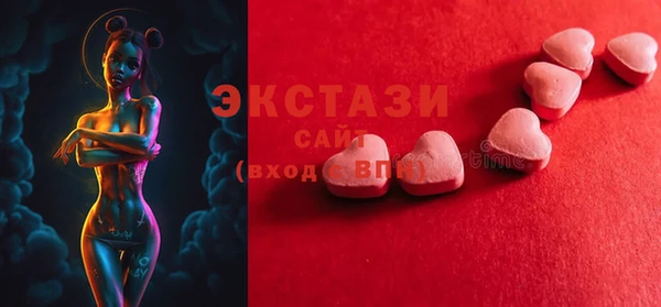 ECSTASY Богородицк