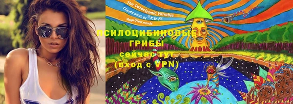 ECSTASY Богородицк