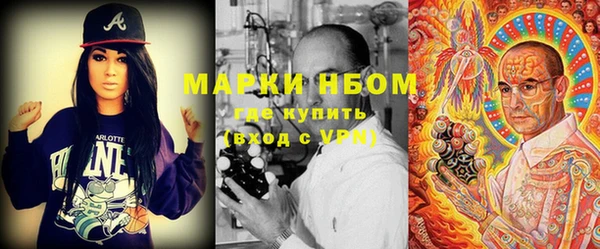 ECSTASY Богородицк