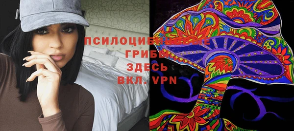 ECSTASY Богородицк