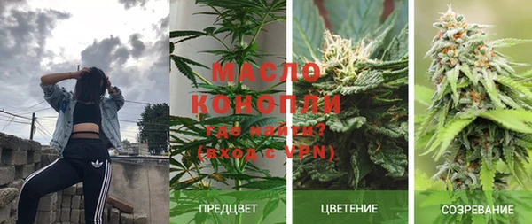 ECSTASY Богородицк