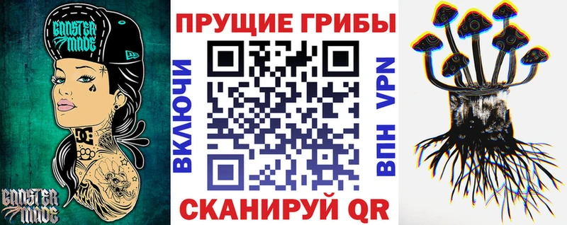 где продают наркотики Бутурлиновка Галлюциногенные грибы Cubensis