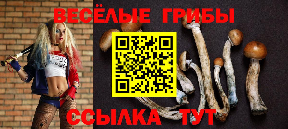 Галлюциногенные грибы Cubensis Бутурлиновка